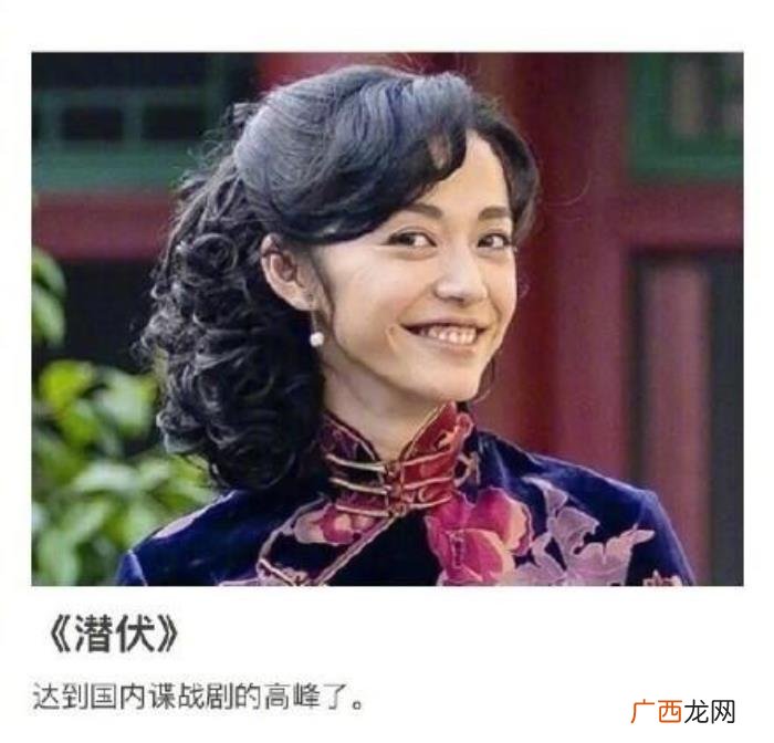 良心电视剧，二十七部算是良心制作的国内电视剧
