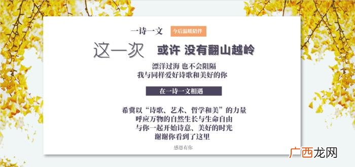 枫叶像思念,缓缓掉落的枫叶像思念、为何挽回要赶在冬天来之前