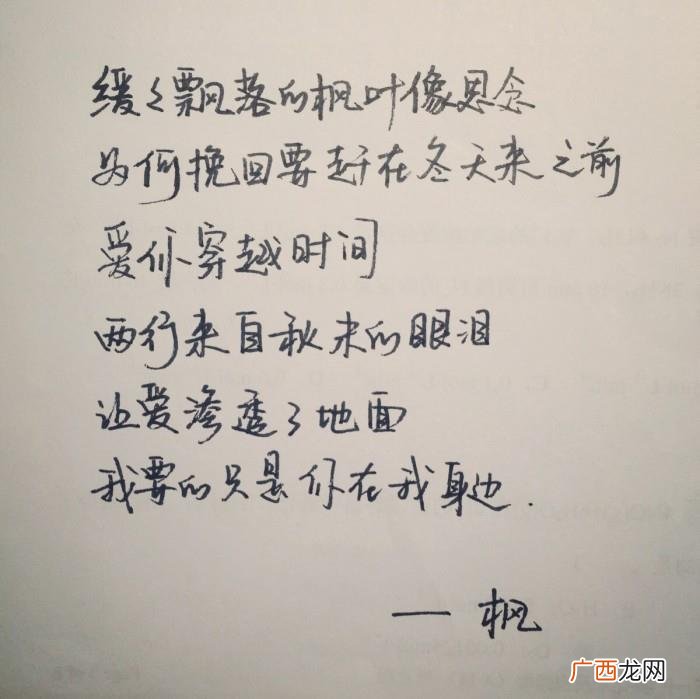 枫叶像思念,缓缓掉落的枫叶像思念、为何挽回要赶在冬天来之前