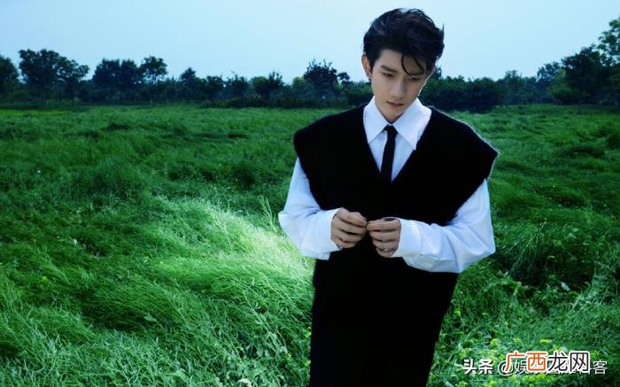 蔡依林吴京，王源、景甜、吴京、阿云嘎、蔡依林