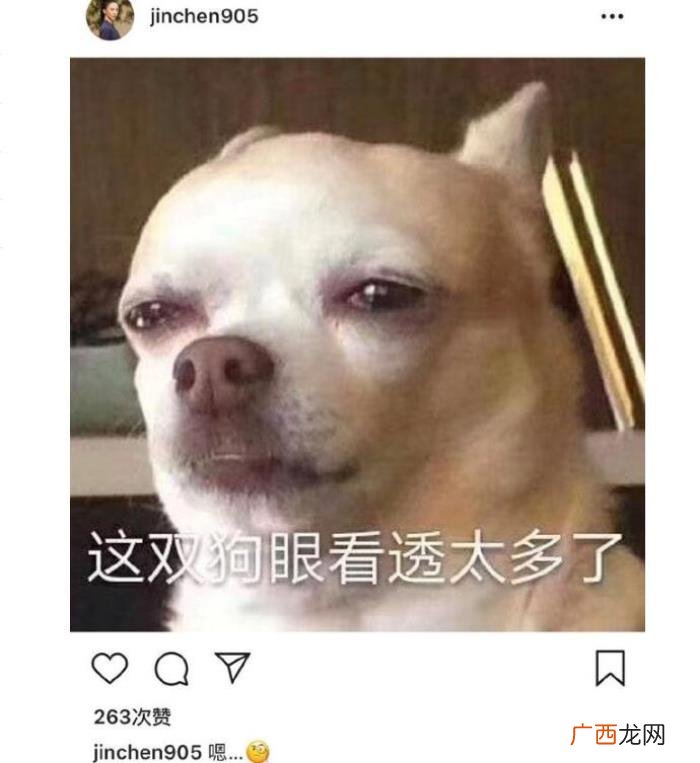 董又霖金晨，金晨一句话总结和董又霖洗衣机式恋爱