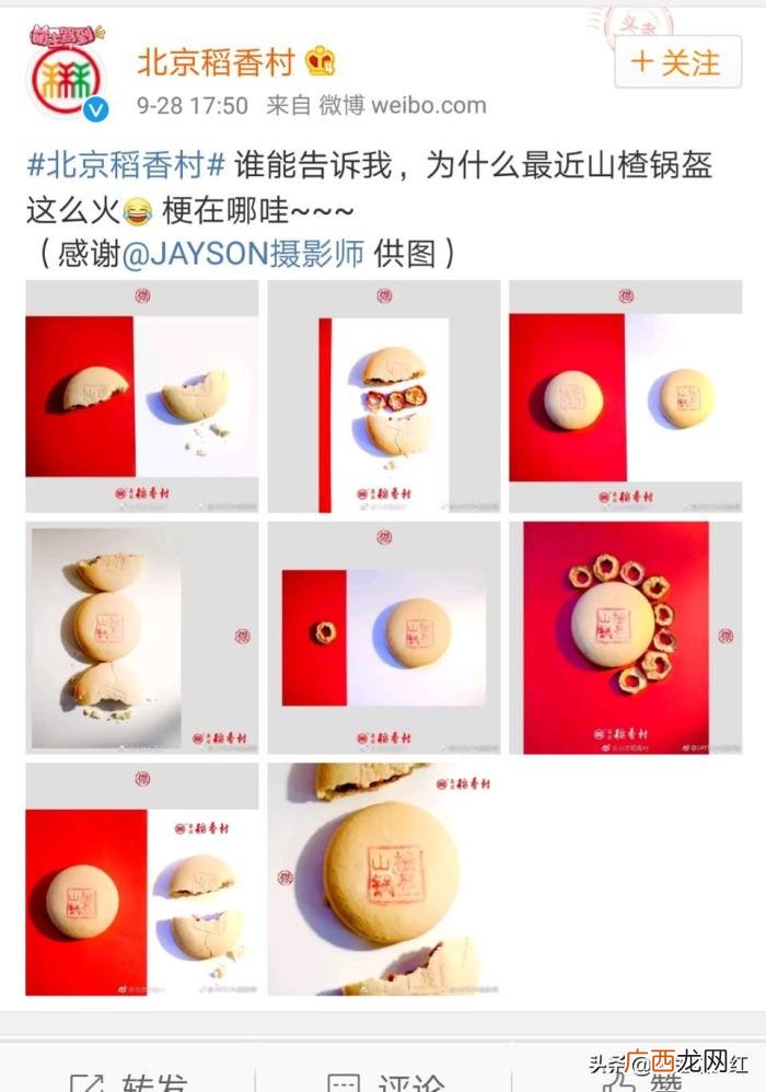 宋茜吃芝士，宋茜的泡菜汤、肖战的芝士条、娜扎的牛肉干