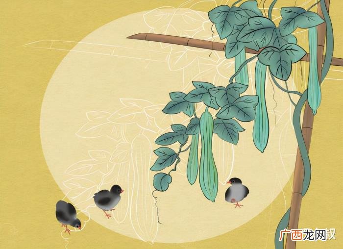 女人开始喜欢你的迹象 女生喜欢你的迹象