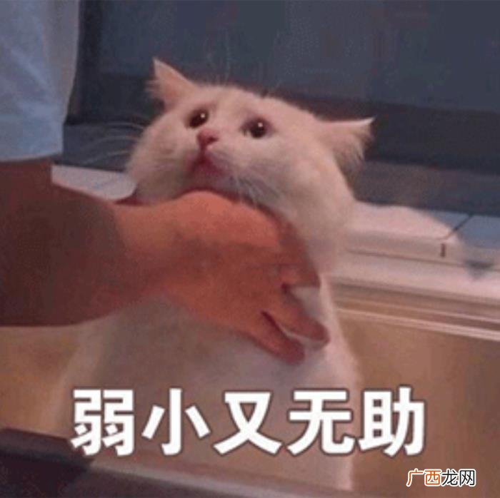 为什么你的暧昧都无疾而终 暧昧期为什么会难过
