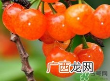 吃樱桃可以美白吗?樱桃怎么吃美白?