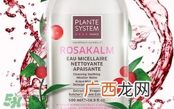 plante system是什么牌子?plante system是哪个国家的?