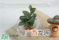 擦防晒霜可以防辐射吗?防晒霜能防辐射吗?