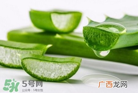芦荟可以直接涂脸上吗?芦荟能直接涂脸上吗?
