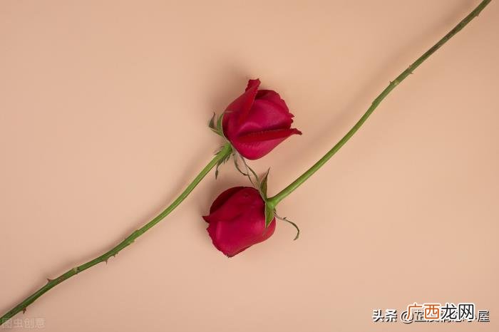 什么样的男人不能嫁 什么样的男人不能要