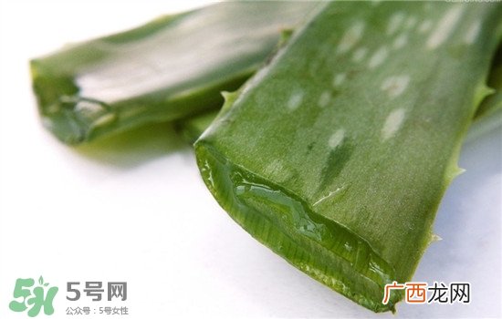 芦荟面膜的制作方法 芦荟和什么一起做面膜比较好