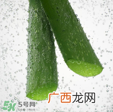 芦荟面膜的制作方法 芦荟和什么一起做面膜比较好