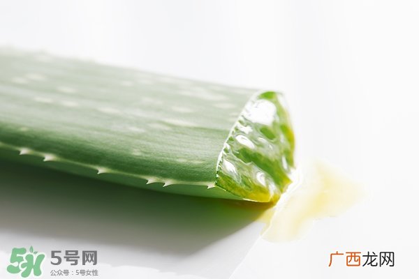 芦荟面膜的制作方法 芦荟和什么一起做面膜比较好