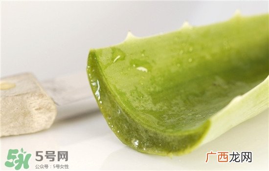 芦荟面膜的制作方法 芦荟和什么一起做面膜比较好
