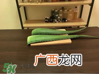 芦荟面膜的制作方法 芦荟和什么一起做面膜比较好