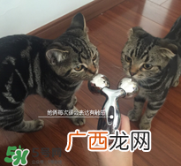 refa去眼袋有效果吗 refa能去眼袋吗
