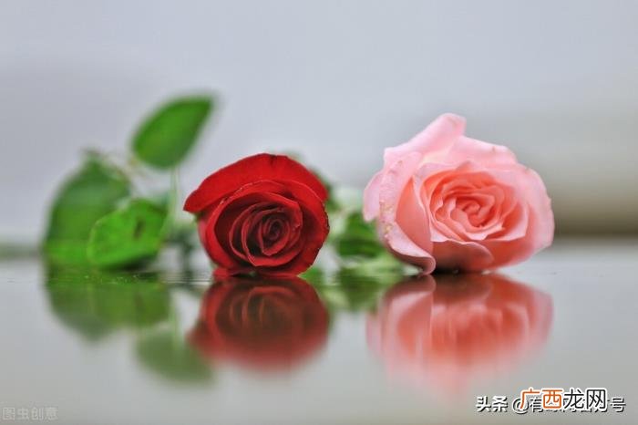 爱情不能顺其自然 爱情真的要顺其自然吗