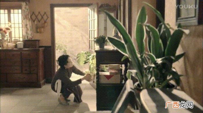 周一围陶虹，这部张鲁一、陶虹、周一围、王迅出演
