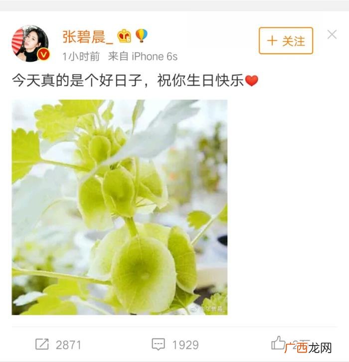张碧晨微博，张碧晨连续三年发微博祝她生日快乐