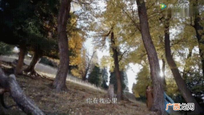 郑少秋黎明，到底是什么国产剧可以让郑少秋黎明做配角