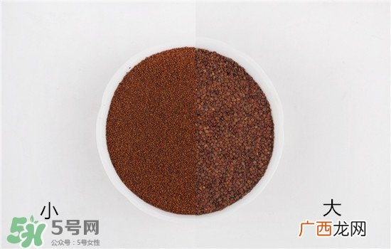 海藻面膜大颗粒好还是小颗粒好?海藻面膜怎么选择?