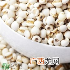 薏仁面膜怎么做?薏仁面膜的功效与作用
