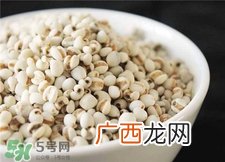 薏仁面膜怎么做?薏仁面膜的功效与作用