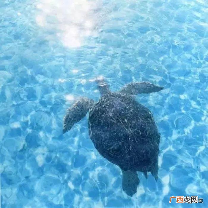 范冰冰清纯,满脸欲望的美艳范冰冰居然变得清纯又可爱