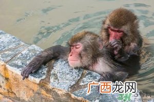 入浴剂是什么？入浴剂怎么用
