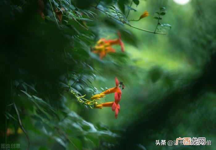 大龄剩女们都是怎么想的 大龄剩女都是什么心理