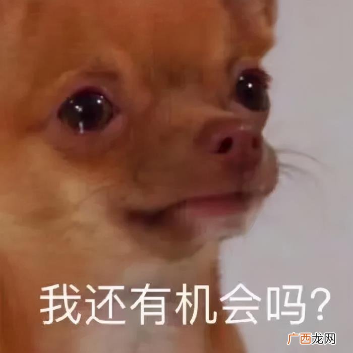跟女生聊天中的大禁忌 什么是恋爱聊天的禁忌