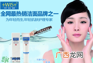 wis是哪个国家的品牌？wis是什么牌子？