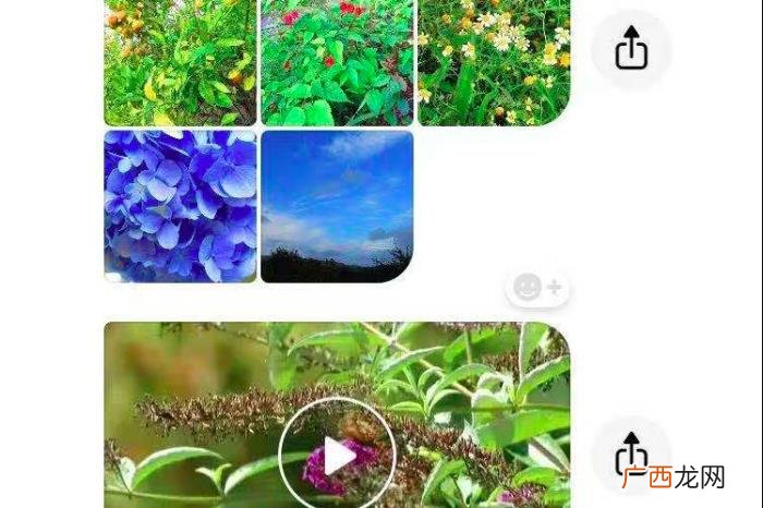 靠谱的网恋是怎样的 网恋多久可以确定关系