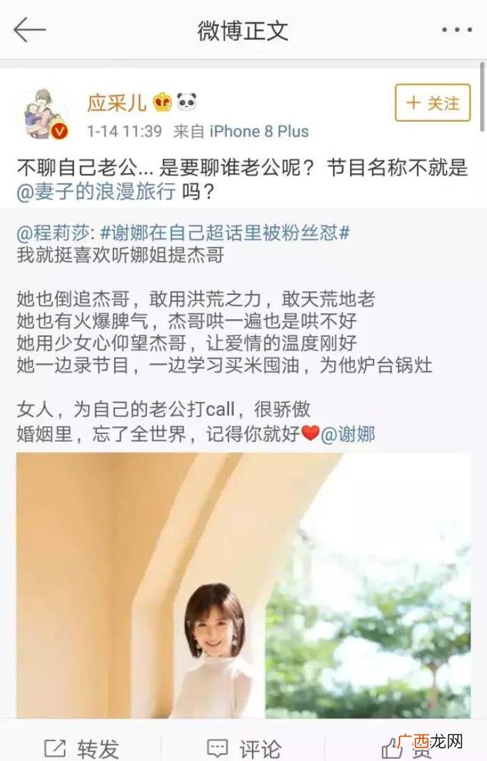 章子怡超话，谢娜退超话、章子怡粉丝脱粉、罗志祥关评论