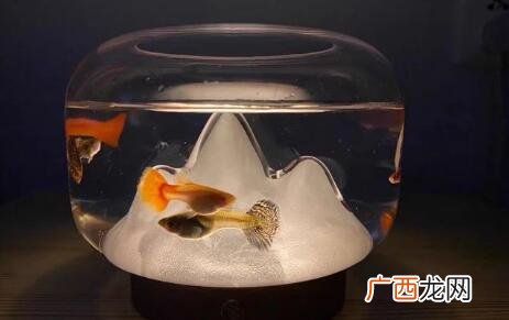 生日礼物送什么好给女生？用心准备才能打动她