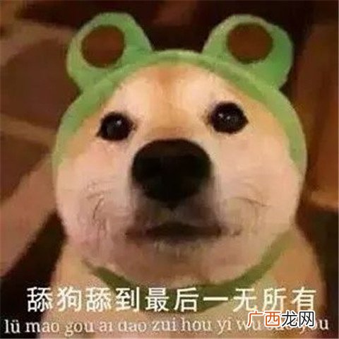 舔狗经典语录，舔狗日记配文