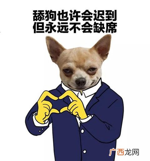 舔狗经典语录，舔狗日记配文