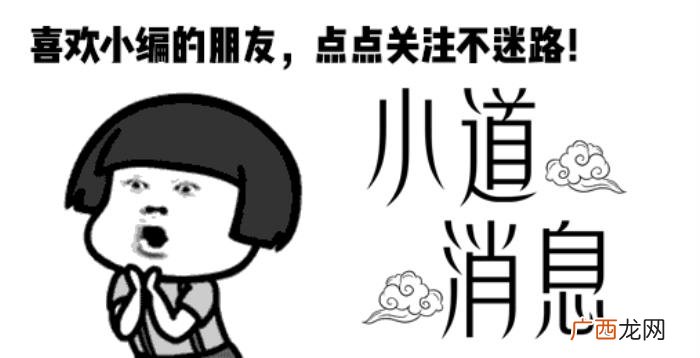 徐静蕾黄觉，盘点黄觉情史他和徐静蕾为什么分手