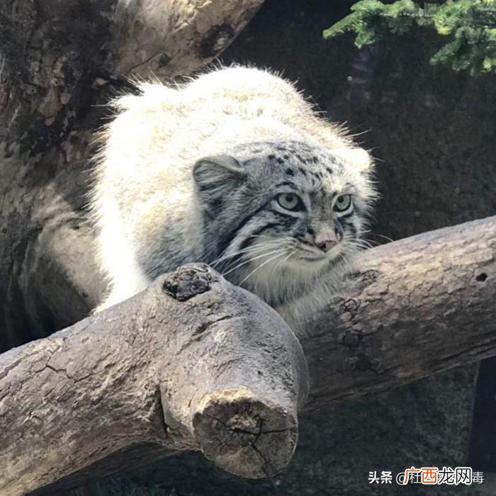 讨厌相亲男动手动脚怎么办 约会男生动手动脚怎么办