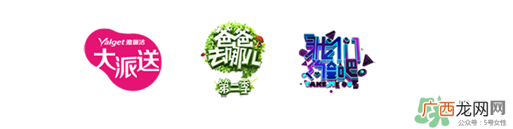 雅丽洁这个牌子怎么样？雅丽洁是哪国的牌子