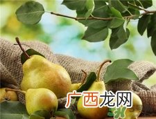 梨子能做面膜吗?梨子怎么做面膜