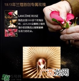 兰蔻黑金臻宠精华乳怎么用？兰蔻黑金臻宠精华乳使用方法