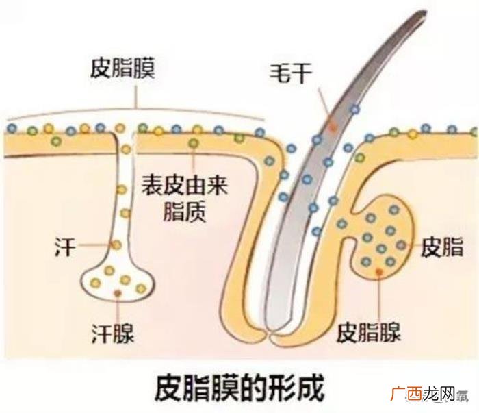 赵丽颖瘦吗，复出还被质疑浮肿的赵丽颖秒速瘦成纸片人