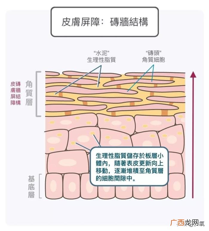 赵丽颖瘦吗，复出还被质疑浮肿的赵丽颖秒速瘦成纸片人