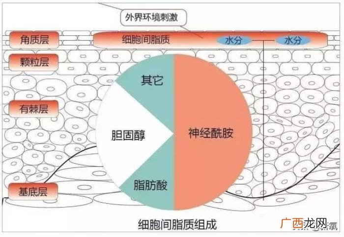 赵丽颖瘦吗，复出还被质疑浮肿的赵丽颖秒速瘦成纸片人