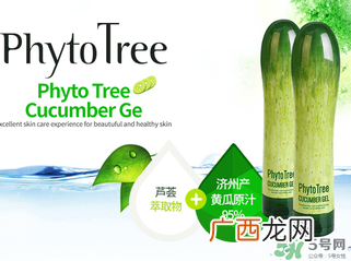 姬存希黄瓜胶多少钱？姬存希黄瓜胶价格