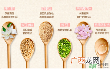 一叶子套装怎么用？一叶子套装使用说明