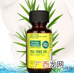星期四茶树精油和凝胶哪个好？星期四农庄茶树精油和凝胶对比