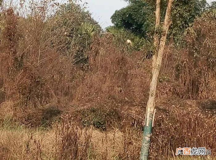 夫妻相处需要注意哪些要点和细节 情人相处要注意什么