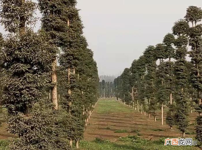 夫妻相处需要注意哪些要点和细节 情人相处要注意什么