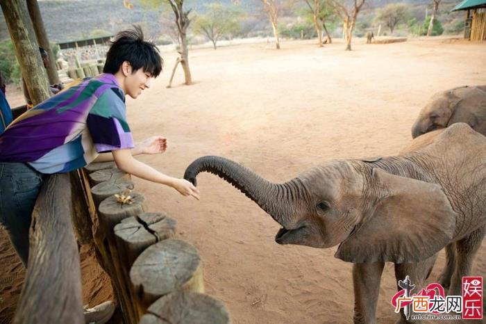 王俊凯师图，王俊凯肯尼亚写真少年感十足温柔清爽帅气撩人